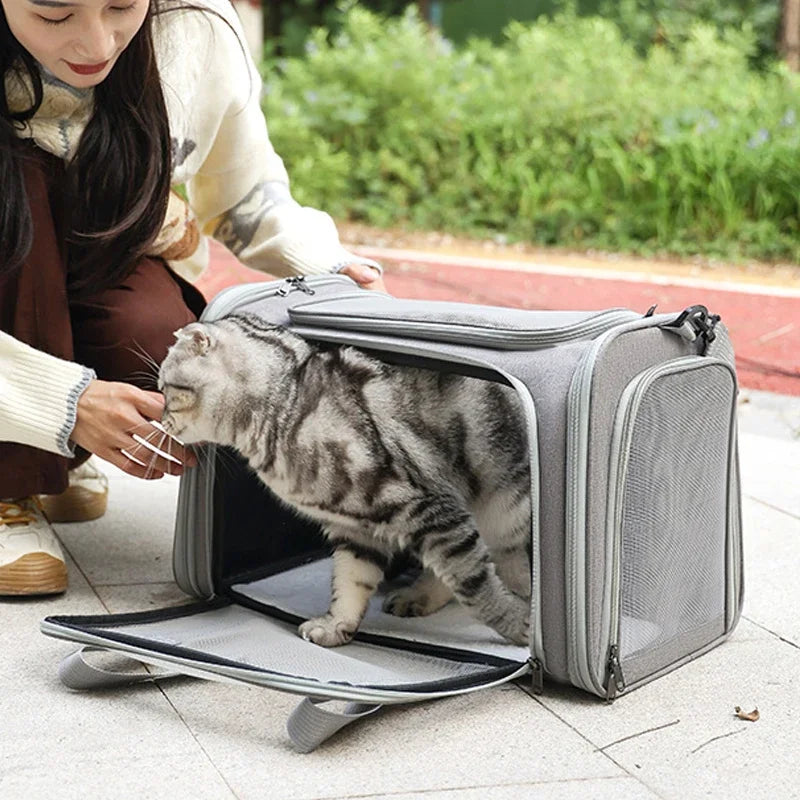 Portable Dog Cat Carrier Bag Soft Side Backpack Pet Carriers Dog Travel Bags Airline Approved Transport  Outgoing Pets Handbag Cat Backpack