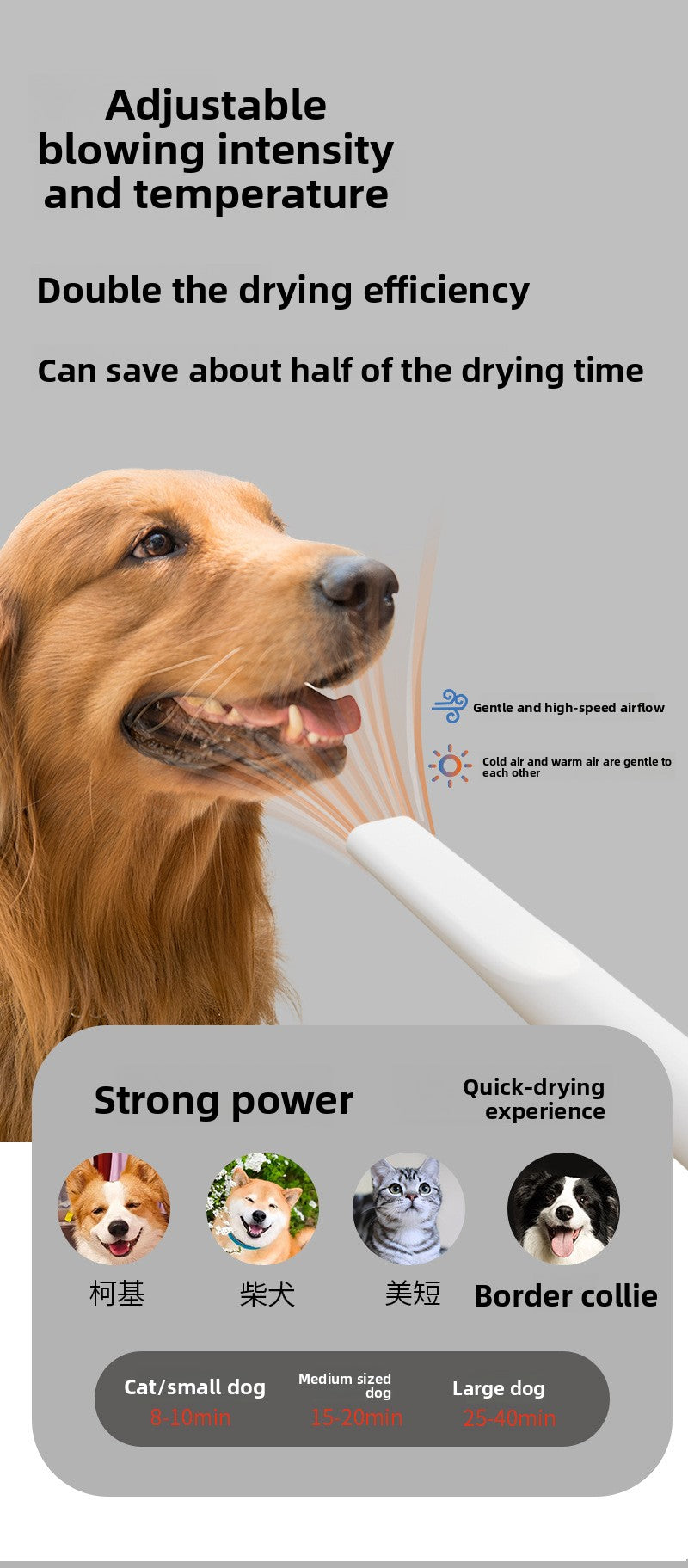 Dog Grooming Vacuum Cleaner Kit 11000PA High Power Pet Hair Remover for Shedding