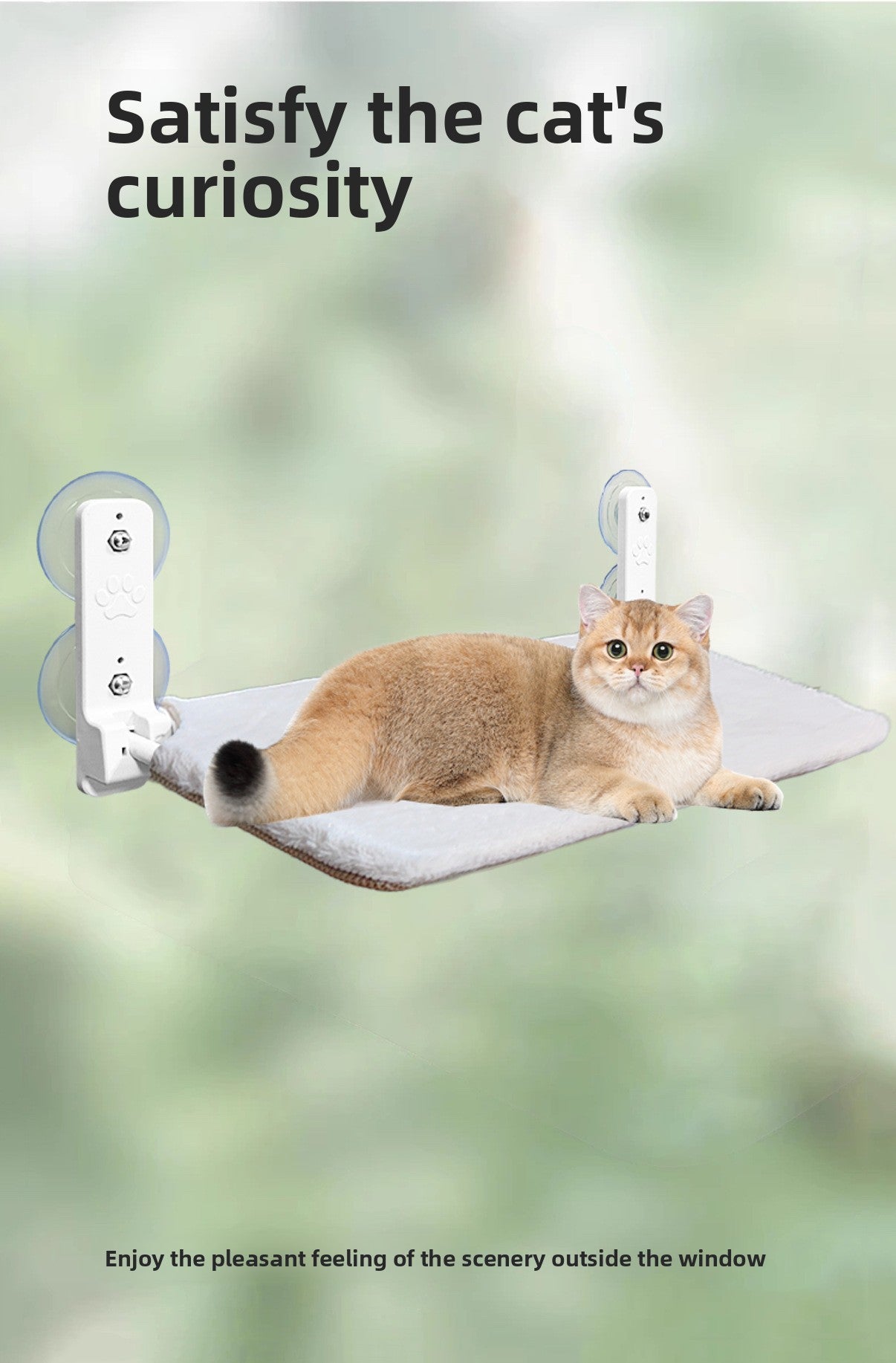 Cat Hammock Window Perch with Suction Cups Foldable Cat Bed Pet Hanging Hammock for Cats