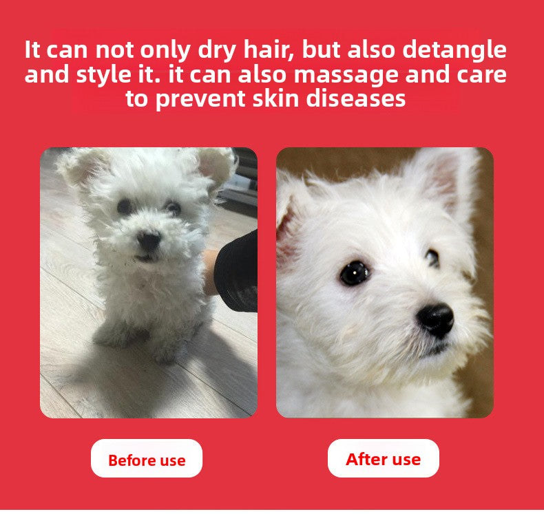 Smart Pet Hair Dryer Brush with Hot Air Fast Drying Combing and Grooming for Dogs Cats