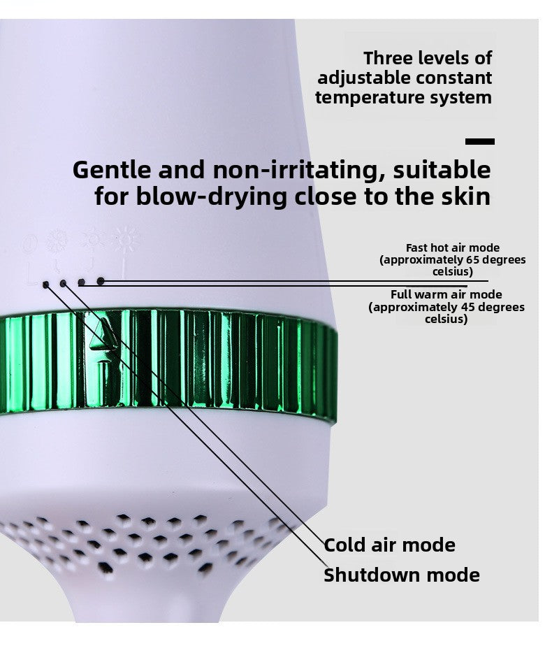 Smart Pet Hair Dryer Brush with Hot Air Fast Drying Combing and Grooming for Dogs Cats